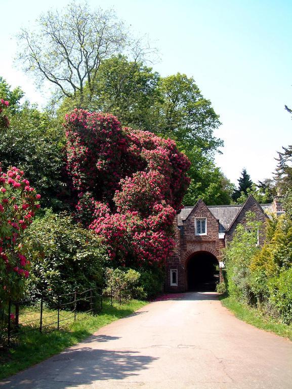 Aveland House Babbacombe Hotell Torquay Exteriör bild